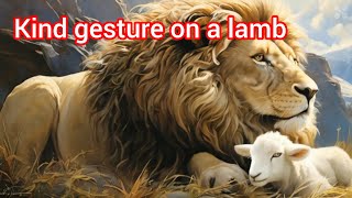 Lions kind gesture on a lamb [upl. by Ahsila]