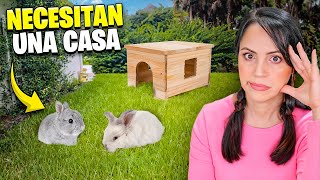 Ahora Hay Que Pensar en una Casa para los Conejitos 🔥 Sandra Cires Vlog [upl. by Becket]