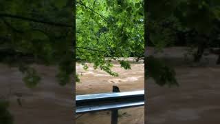 River Road Flooding June 3 2018 [upl. by Aletta]