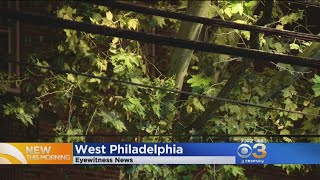 Officials Fallen Tree Creates Power Outage In West Philadelphia [upl. by Ahtenak966]