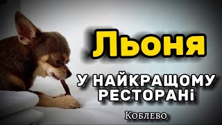 Льоня У НАЙКРАЩОМУ РЕСТОРАНІ КОБЛЕВО [upl. by Annuhsal]