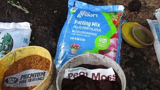 Potting soil mix 2024 for Amaryllis [upl. by Levins651]