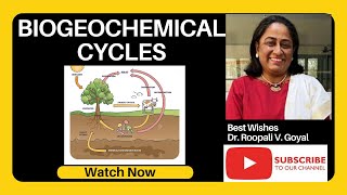 Biogeochemical Cycle A Journey through Natures Recycling हिंदी में shortvideo [upl. by Readus]