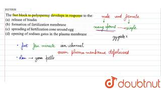 The fast block to polyspermy develop in ressponse to the [upl. by Marie-Jeanne]