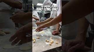 How Xiao Long Bao is made [upl. by Soraya]