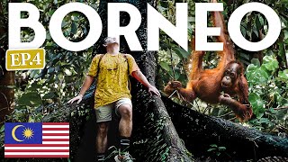 THIS IS WHY I Came To BORNEO 🇲🇾 Malaysia Bucket List Experience [upl. by Emerej988]