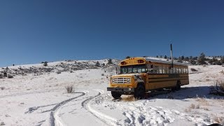 Converted School Bus In The Colorado Wilderness [upl. by Atilrac]