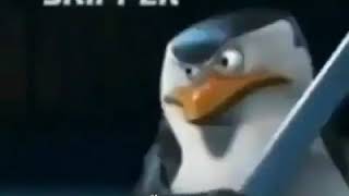 penguins of madagascar meme [upl. by Padraic]