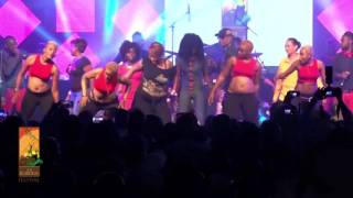 Koffi Olomide performs Micko Live at The Koroga Festival [upl. by Ahset]