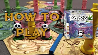 How to Play Takenoko [upl. by Tereb507]