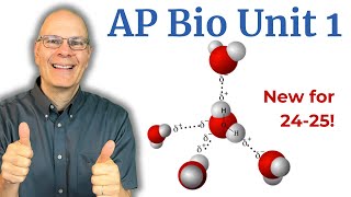 AP Bio Unit 1 Chemistry of Life Review Crush your unit test [upl. by Nerro]