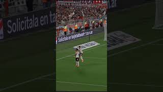 El gol de Borja y el festejo de la gente ❤️ riverplate fútbol Borja [upl. by Eelrihs845]