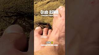 Crab ASMR videos [upl. by Odracir997]