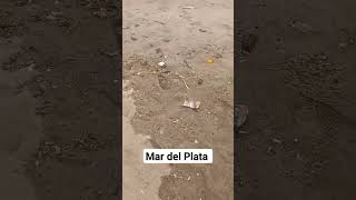 Lamentable las playas de MDQ Playa Bristol [upl. by Akirdnahs]