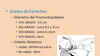 DISTOCIAS MECANICA Y OSEA [upl. by Greabe]