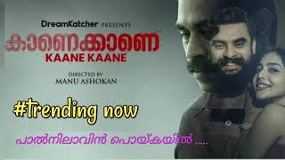 Kaanekkaane Movie  Palnilavin Poykayil  Super Hit Song  Trending Song 2021  Suraj Venjaramood [upl. by Rosanna]