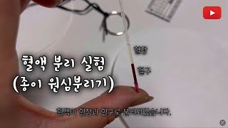 친절한 과학쌤 혈액 분리 실험종이 원심분리기 [upl. by Morey]