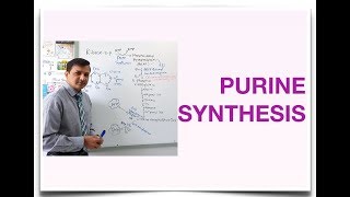 Purine Synthesis De Novo Purine Synthesis [upl. by Yelrehs970]