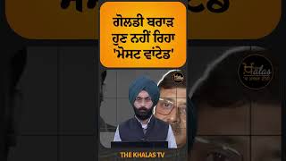 Goldy ਤਾਂ ਹੁਣ ਸੌਖਾ ਹੋ ਗਿਆ ਨਹੀਂ ਰਿਹਾ ਮੋਸਟ ਵਾਂਟਡ sidhumoosewala canada TheKhalasTv [upl. by Lebyram980]