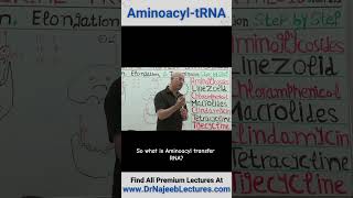 Aminoacyl tRNA drnajeeb drnajeeblectures shortvideostatus [upl. by Dnarud369]