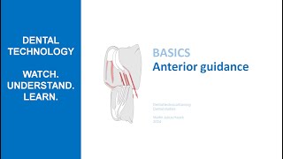 Anterior Guidance  How anteriors guide lower jaw movements [upl. by Airdna]