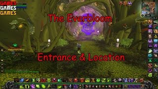 The Everbloom Dungeon Entrance amp Location [upl. by Prussian]