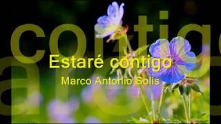 Estare contigo Marco Antonio Solis [upl. by Neille]