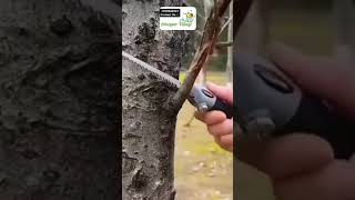 Portable Hand Saw For Wood Cutting [upl. by Seena]