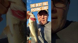 The Best Fishing Lure for FALL [upl. by Nahgam]