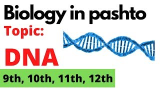 DNA  Deoxyribonucleic acid  DNA in pashto  Home of biology [upl. by Anij]