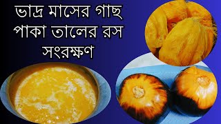 তালের রস সংরক্ষণ করার পদ্ধতি । How to preserve palm juice [upl. by Hcaz820]