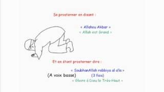 Apprendre La Prière Salat El Dohr  2ème prière de la journée [upl. by Earej]