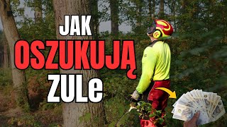 Jak oszukują ZULe  Okiem ZULa  Gwarancje24 [upl. by Rehpetsirhc470]