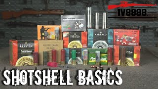 Ammo For Beginners Shotshell Basics [upl. by Eelra]