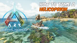 How to tame a Helicoprion in ARK Survival Ascended ark helicoprion arksurvivalascended [upl. by Katrine]