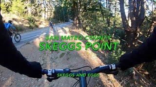 DH SKEGGS 4K HD MTB WTB [upl. by Koffler559]