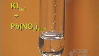 Double Displacement Lead Nitrate and Potassium Iodide [upl. by Auoh279]