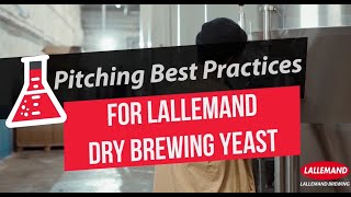 Pitching Best Practices for Lallemand Dry Brewing Yeast [upl. by Ardaed567]