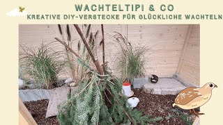 Wachteltipi amp Co kreative DIYVerstecke für glückliche Wachteln [upl. by Sarid698]