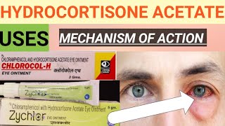 HYDROCORTISONE ACETATE EYE OINTMENT  CHLORAMPHENICOL WITH HYDROCORTISONE ACETATE EYE OINTMENT [upl. by Earehs]