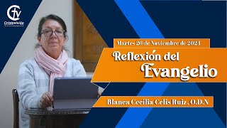 REFLEXIÓN DEL EVANGELIO  Martes 26 de Noviembre de 2024  Cristovisión [upl. by Mckenna]