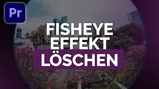 FISHEYEEFFEKT von GoPro oder DrohnenAufnahmen LÖSCHEN  Premiere Pro CC 2021 Tutorial  Mediabox [upl. by Sewole]