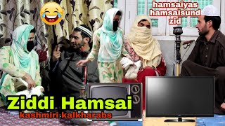 Ziddi Hasdi Hamsai  kashmiri kalkharabs [upl. by Aradnahc497]