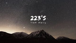 YNW Melly  223s Lyrics ft 9lokknine [upl. by Rica]