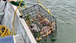 Late August Dungeness Crabbing and Fishing In Tillamook Bay [upl. by Billat]