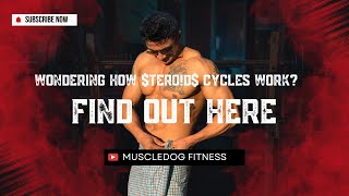 All About ter0d Cycles Start Progress amp Finish Strong  in Hindi  Muscledog Fitness [upl. by Rehteh]