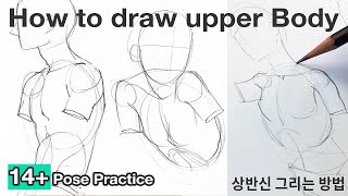 How to draw Bodies  Tutorial and Practice ✍✍ [upl. by Janot]