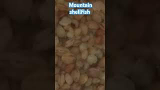 Mountain little bit Shellfish shourts mountain shellfish little pond shellfish [upl. by Ramyar]