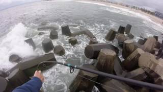 Fishing The Manasquan Inlet NJ Off The Rocks [upl. by Alicec]