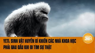 Yeti Sinh vật huyền bí khiến các nhà khoa học phải đau đầu khi đi tìm sự thật  Toàn cảnh 24h [upl. by Michaeu]